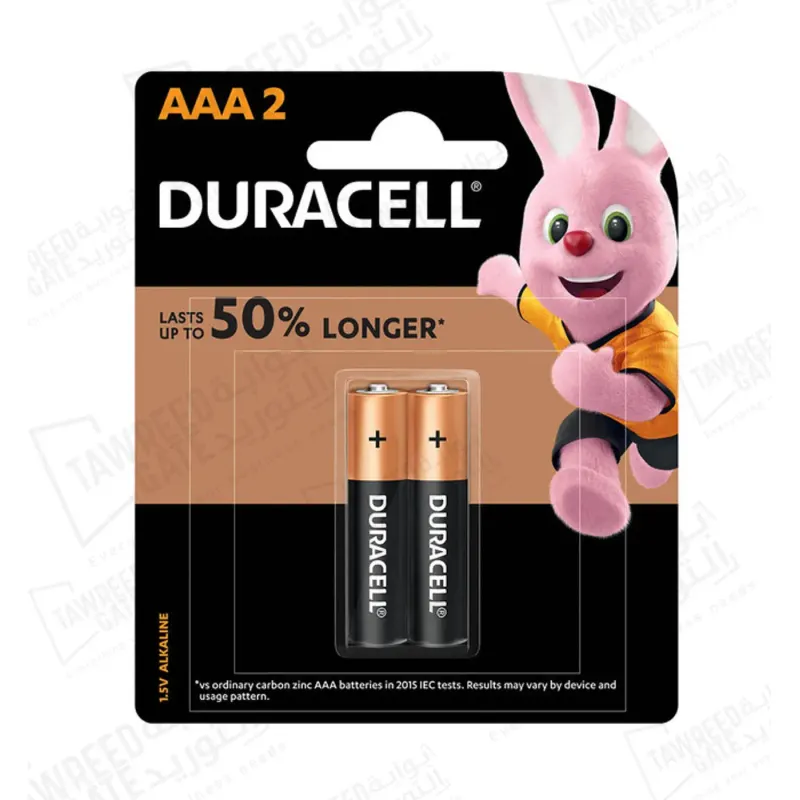 Duracell Battery AAA2 (PKT 2 EA)(REM 6 PKT)(CTN 60 PKT)