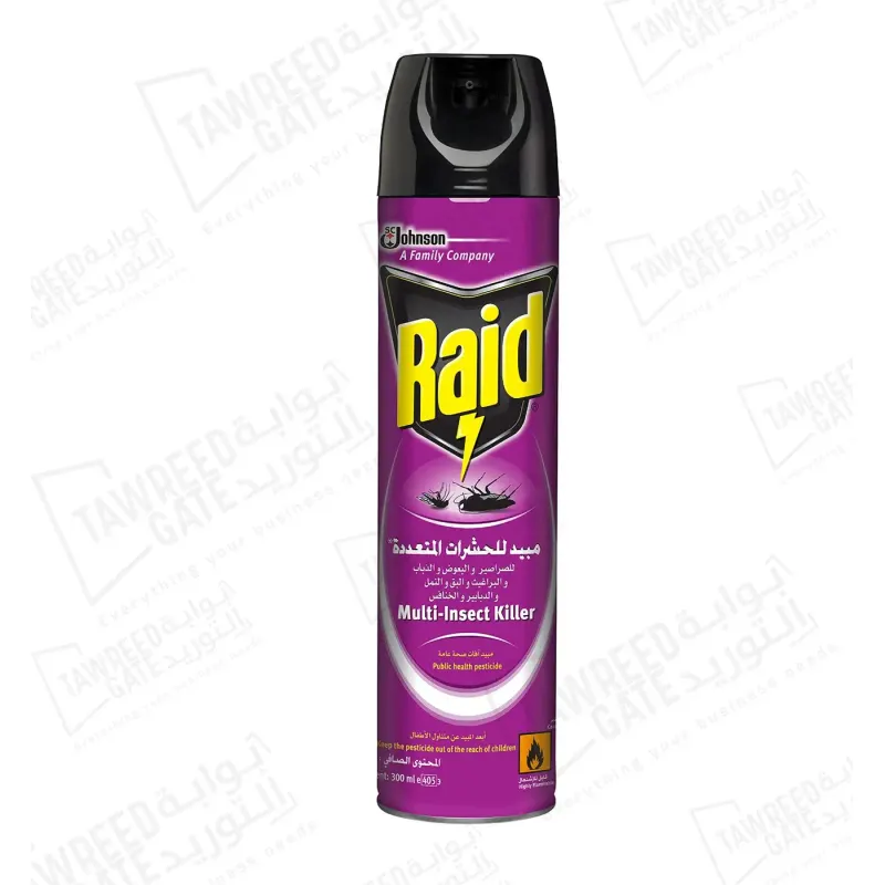 Raid Multi-Insect Killer 300 ML (PKT 12 EA)(CTN 48 EA)