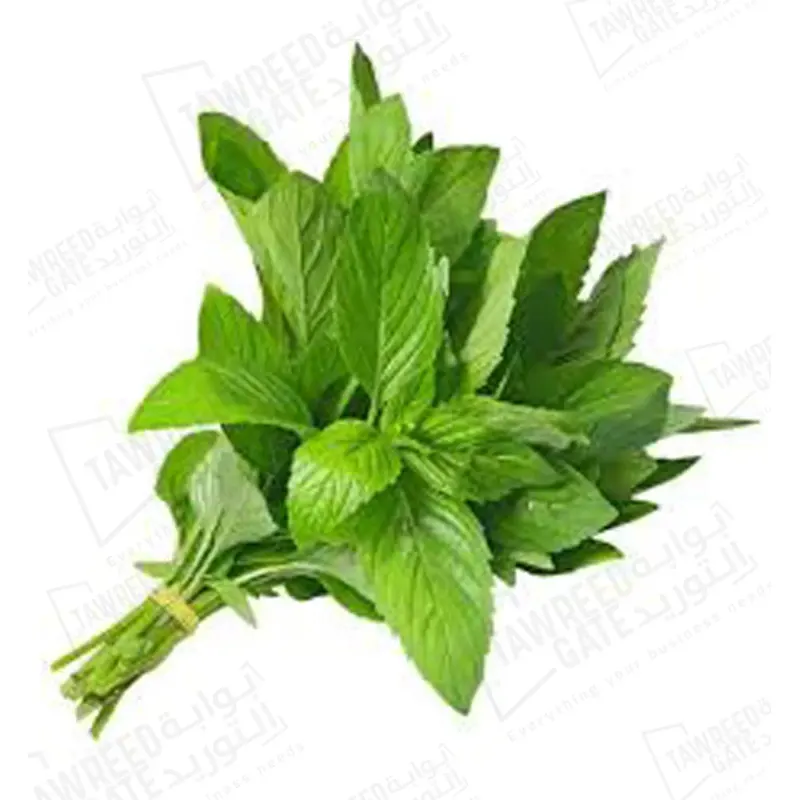 Fresh Mint
